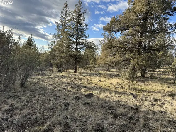 Bonanza, OR 97623,Canvasback DR #35