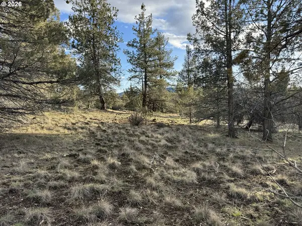 Canvasback DR #35, Bonanza, OR 97623