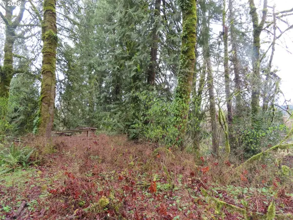 235 ANCHOR RD, Castle Rock, WA 98611