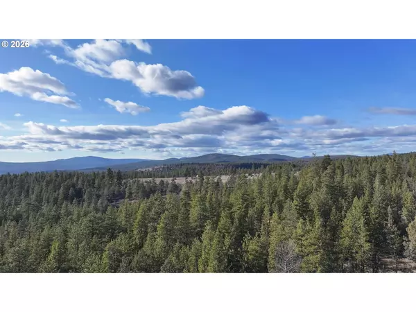 Bonanza, OR 97623,Badger Lane