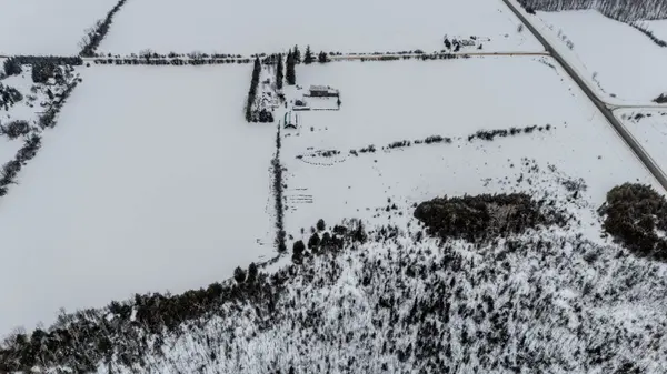 2320 Brock Concession 11 RD, Brock, ON L0E 1E0