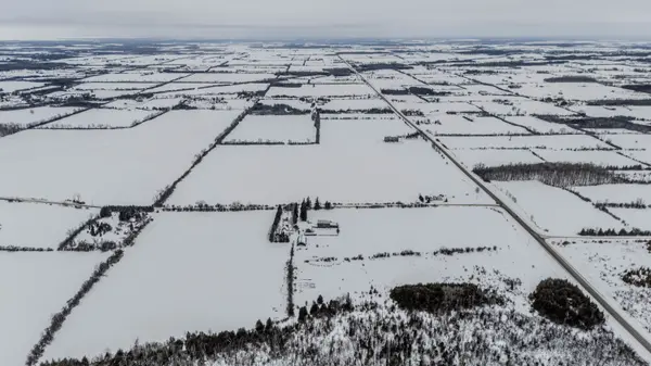 2320 Brock Concession 11 RD, Brock, ON L0E 1E0