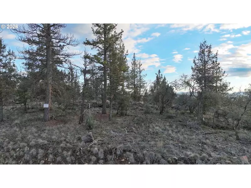 Prarie Dog DR #13 POR, Bonanza, OR 97623