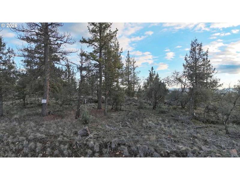 Prarie Dog DR #13 POR, Bonanza, OR 97623