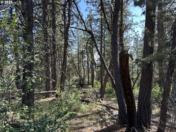 Sandpiper DR #2300, Beatty, OR 97621