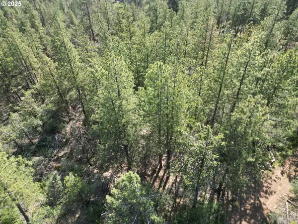 Sandpiper DR #2300, Beatty, OR 97621