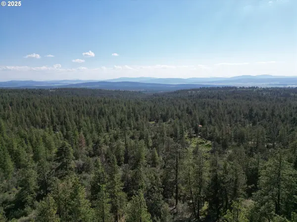 Sandpiper DR #2300, Beatty, OR 97621