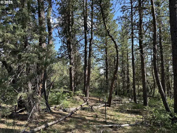 Sandpiper DR #2300, Beatty, OR 97621