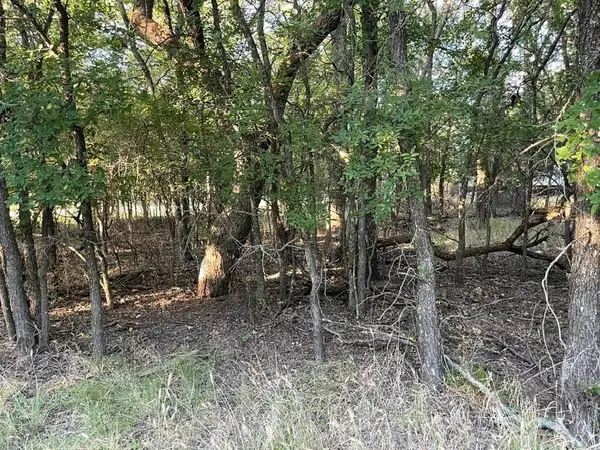 622 Cypress Drive, May, TX 76857