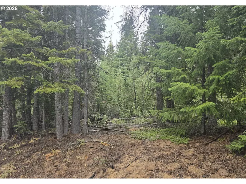 5 Royce Pine, Crescent Lake, OR 97733