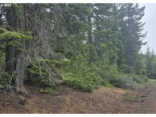 Crescent Lake, OR 97733,5 Royce Pine