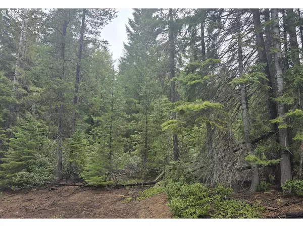 Crescent Lake, OR 97733,5 Royce Pine