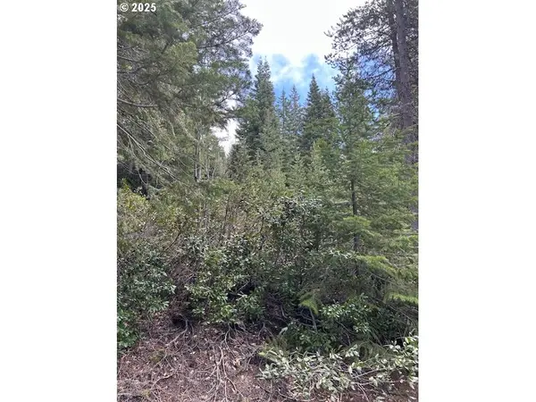 5 Royce Pine, Crescent Lake, OR 97733