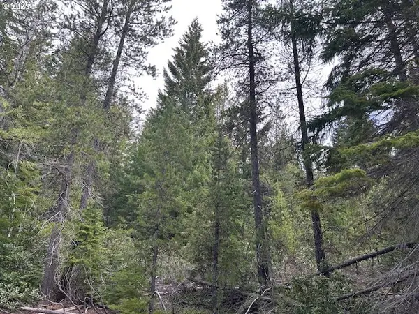 5 Royce Pine, Crescent Lake, OR 97733