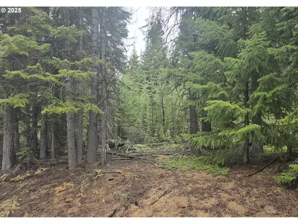 Crescent Lake, OR 97733,4 Royce Pine