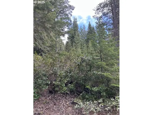 4 Royce Pine, Crescent Lake, OR 97733