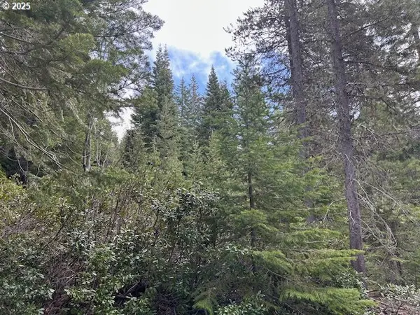 4 Royce Pine, Crescent Lake, OR 97733