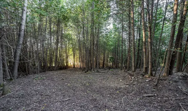 5703 10th Side Road, Essa, ON L0L 1N0