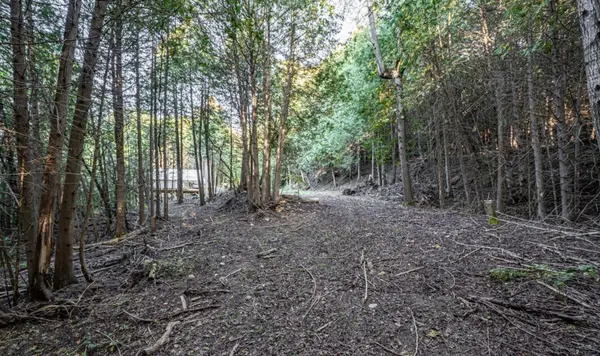 5703 10th Side Road, Essa, ON L0L 1N0