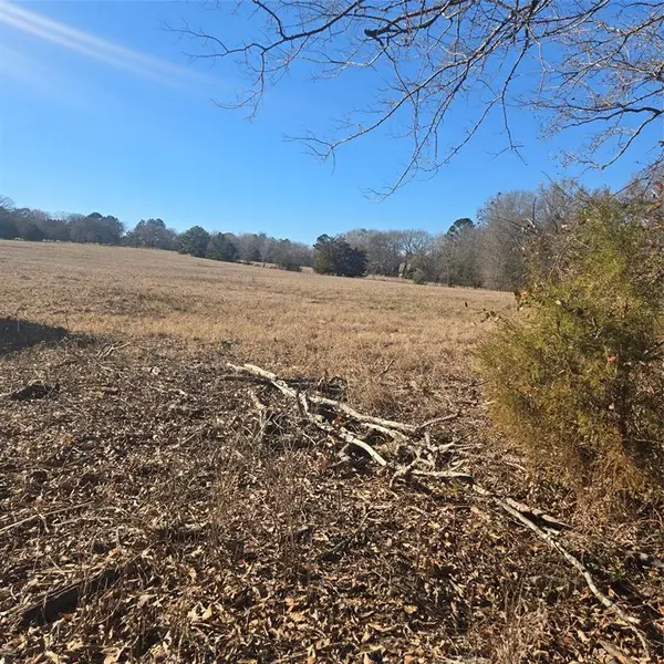 19953 Turtle Creek Road, Flint, TX 75762