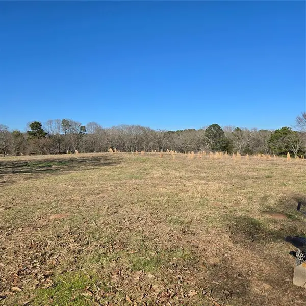 19953 Turtle Creek Road, Flint, TX 75762