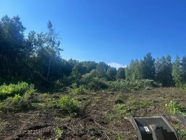 LOT 11 RUE CHATELAIN ST, Alfred And Plantagenet, ON K0B 1A0