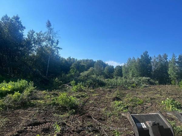 LOT 11 RUE CHATELAIN ST, Alfred And Plantagenet, ON K0B 1A0