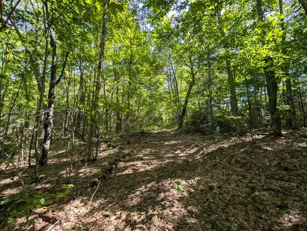 611 Bray Lake RD, Machar, ON P0A 1X0