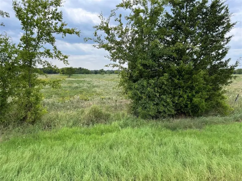 53+ Fm-513, Campbell, TX 75422