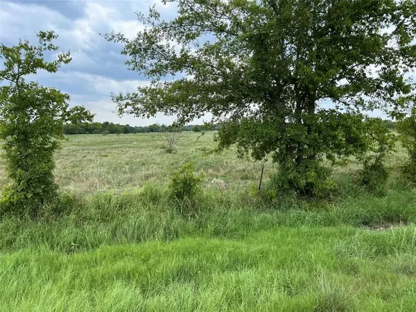 22+ Fm-513, Campbell, TX 75422