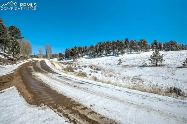 244 High Pasture RD, Florissant, CO 80816