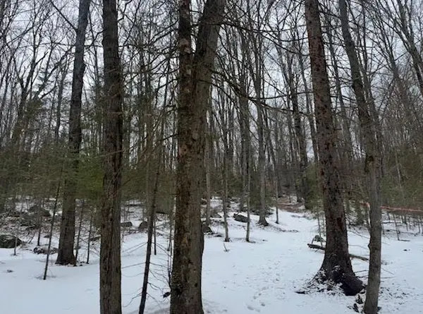 440 Riding Ranch RD, Machar, ON P0A 1X0