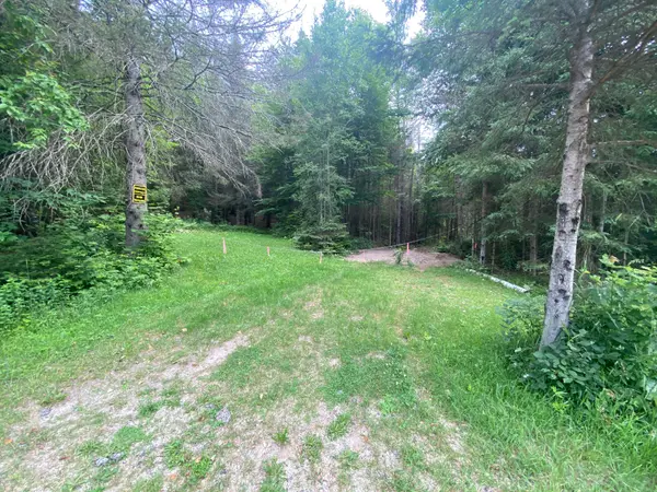 440 Riding Ranch RD, Machar, ON P0A 1X0