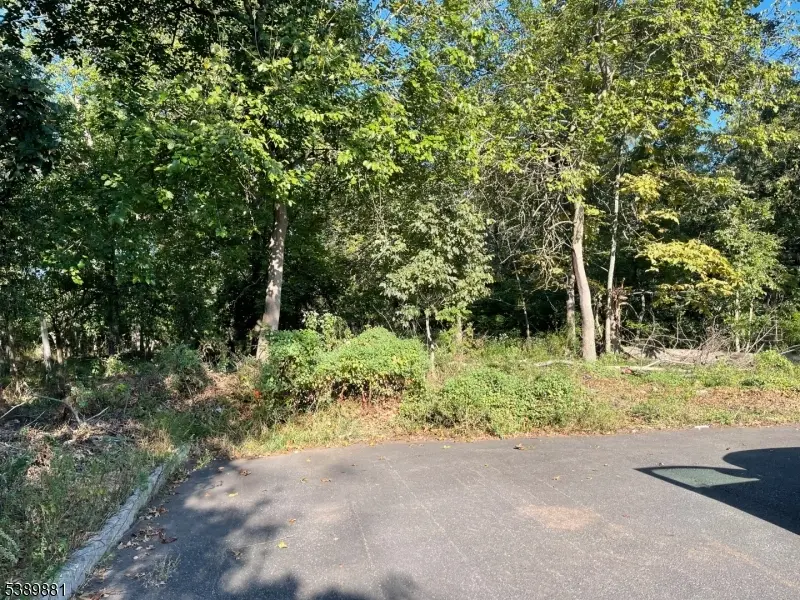 76 Woodland Rd, Piscataway Twp., NJ 08854