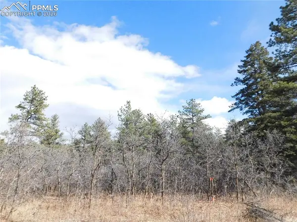 8122 Acoma DR, Larkspur, CO 80118