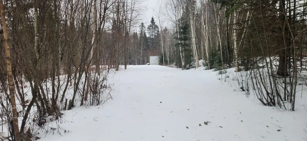 1623 Kohlsmith RD, Whitewater Region, ON K0J 1K0