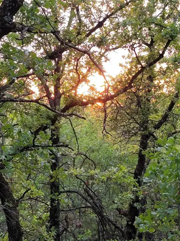 00000 Hwy 59 S, Bowie, TX 76230