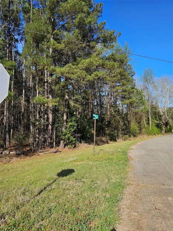 0 Isaac Creek Road, Homer, LA 71040