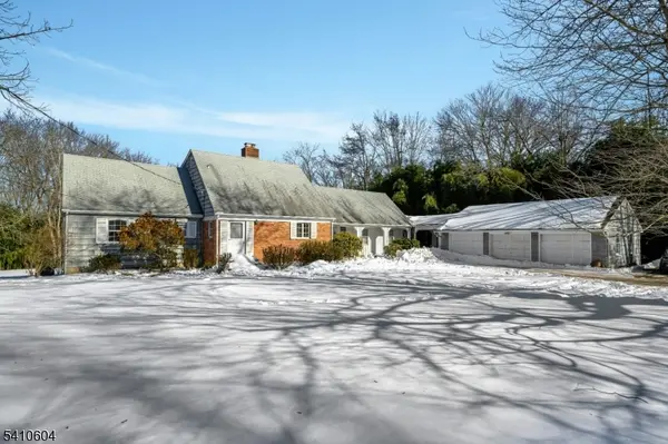 29 Village Rd,  Harding Twp.,  NJ 07976