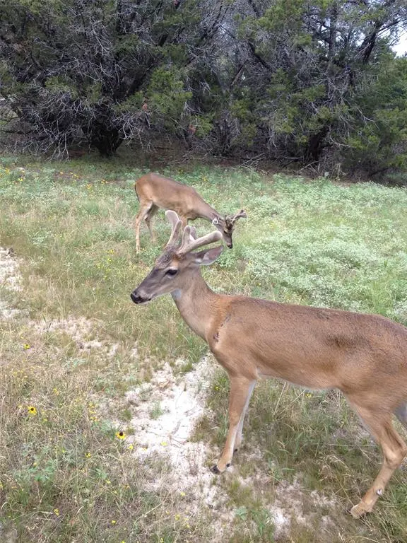 7807 Tx-6, Clifton, TX 76634