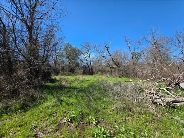 309 Hwy 36, Gustine, TX 76455