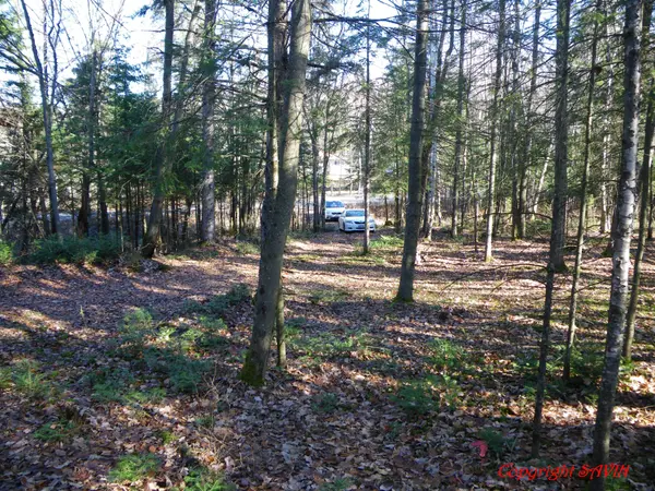 PCL 20438 & 29803 Upper Walker Lake RD, Lake Of Bays, ON P1H 2J6