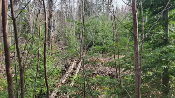 PCL 20438 & 29803 Upper Walker Lake RD, Lake Of Bays, ON P1H 2J6