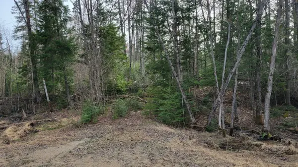 PCL 20438 & 29803 Upper Walker Lake RD, Lake Of Bays, ON P1H 2J6