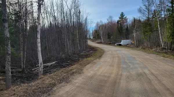 PCL 20438 & 29803 Upper Walker Lake RD, Lake Of Bays, ON P1H 2J6