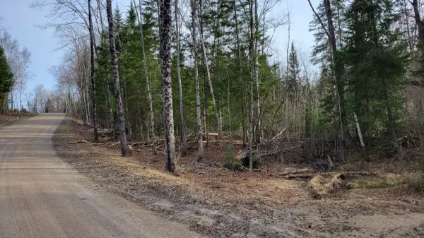 PCL 20438 & 29803 Upper Walker Lake RD, Lake Of Bays, ON P1H 2J6