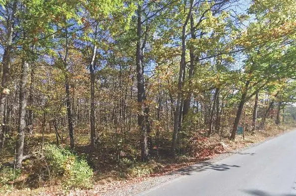 Pt Lt 8 Marble Point RD, Marmora And Lake, ON K0K 2M0