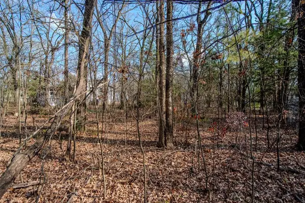 Lot 744 Oak Haven Drive, Gun Barrel City, TX 75156