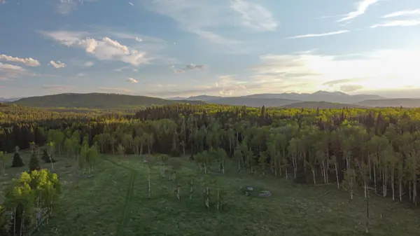 231175 Bracken RD, Bragg Creek, AB T0L 0K0