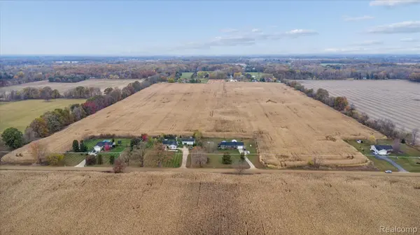 00 Lehring and Britton Rds, Burns Township, MI 48418